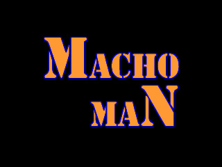 machoman.jpg